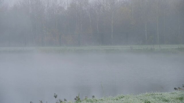 Fense of the park and forg on the whater. Birds feeder sway on the tree. Foggy morning on the pond in the park