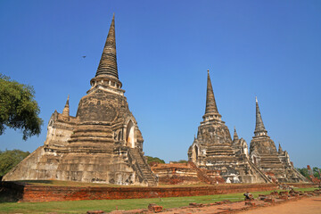 Fototapeta premium Sculpture of Three 3 Ancient old pagoda with the tourist at Wat Phra Si Sanphet is best Famous Landmark old History Buddhist temple in Ayutthaya , Thailand