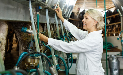 Positive elderly woman in white uniform going to milk cows at farm