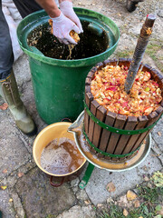 Preparation of apple cider - juice. Pressing apple juice with a small apple press, before making cider with it