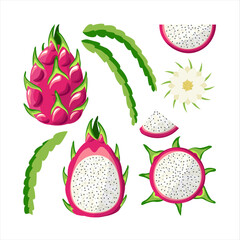 Set of pitaya vectors. Dragon Fruit whole, halves, leaves, flower isolated on white background. Juicy, bright tropical fruits. Cartoon style. 