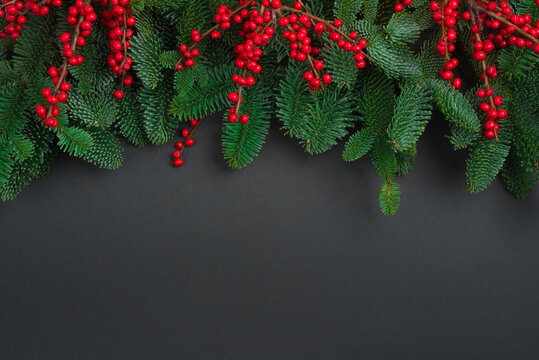 Fir tree branches with red berry twigs on dark background