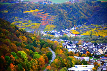 herbstlich gefärbtes Unteres Moseltal im Bereich Winninger Brücke und Dieblich