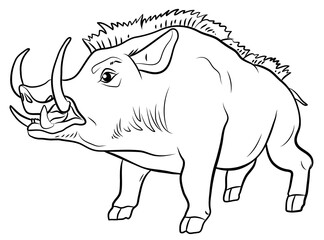 Animals. Black and white image of a wild boar coloring book for children.