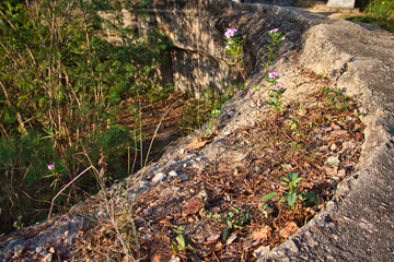 Remains of fortifications in Devil's Peak, Yau Tong, Hong Kong