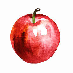 Watercolor red ripe whole Apple one isolated on a white background. Vector Apple can be used for: packaging paper, menu, juice, lemonade