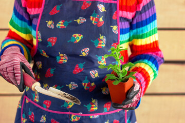 Girl in an apron planting flower seedlings in pots