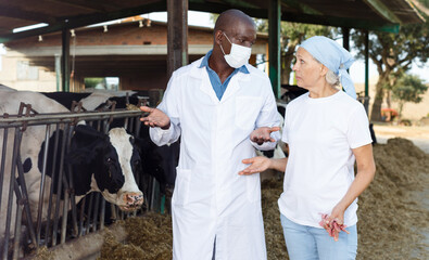 Veterinarian and female owner of dairy farm inspecting cows in cowshed