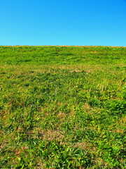 晩秋の朝の江戸川土手風景