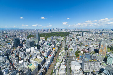 東京風景　地平線と青空と緑　2020年9月　渋谷から望む大都会
