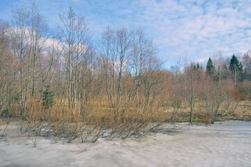 Beautiful winter landscape scene.