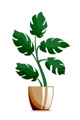 Plant at home. Interior design green houseplant vector illustration. Cartoon house or office plant standing in vase indoor. Decorative plant in pot isolated on white background