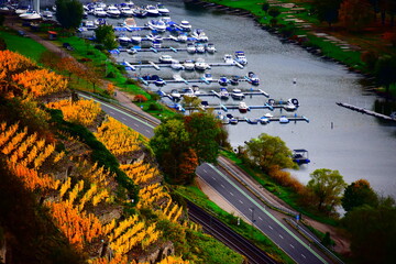 herbstlich gefärbtes Unteres Moseltal im Bereich Winninger Brücke und Dieblich