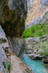 Hiking girl stepping on a narrow path dug into the mountains, 