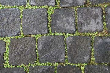 Stone blocks on the ground texture background