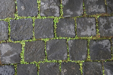 Stone blocks on the ground texture background