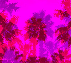 Fototapeta na wymiar Retro illustration of the bright color of a palm tree