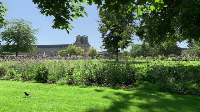 Footage of people walking at public garden called "Jardin Des Tuileries" in the 1st arrondissement of Paris. It is a sunny summer day. Camera pans right.