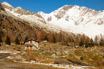 Mountain view with cabin in the Preda Rossa Valley in late autumn, with snow and orange pines on a sunny day. Val Masino, Lombardy, Italy.