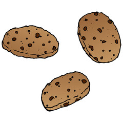 Chocolate biscuits with nuts. Vector illustration of cookies with chocolate and nuts. Hand drawn icon, logo biscuit. Tasty round cookies.