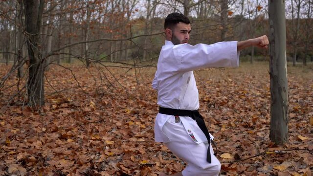 Karate fighter black belt man practicing katas in an outdoor forest in autumn. Medium shot. Karate WadoRyu, Wanshu. 4k video