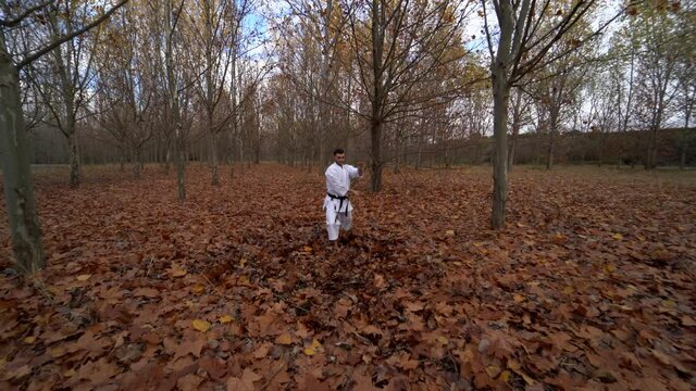 Black belt karate fighter concentrated man practicing martial arts technique kicking and punching outdoors in an autumn landscape. Wide angle shot. Traditional karate wado Ryu