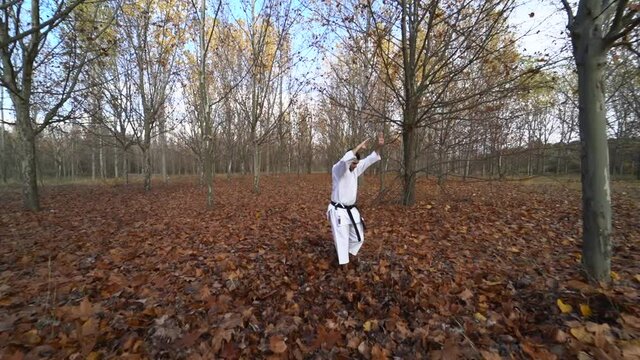 Concentrated male black belt karate fighter practicing kata and doing slow and flowing movements outdoors in an autumn landscape. Wide angle shot. Traditional karate wado Ryu. slow motion