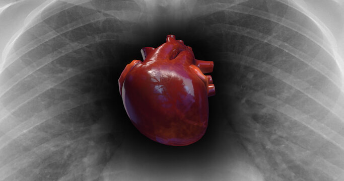 Healthy Human Heart Is Beating. X-Ray Skeleton On Background. Science And Health Related 3D Illustration Render