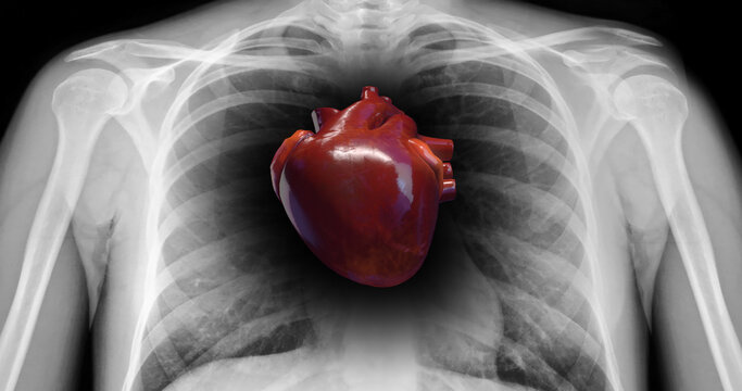 Close Up Healthy Human Human Heart Is Beating. X-Ray Skeleton. Science And Health Related 3D Illustration Render