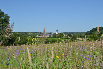 Fototapeta na wymiar Abbaye de Fontevraud vue d'une prairie