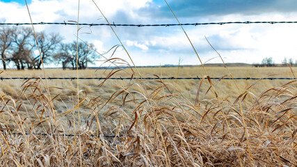 wire fence
