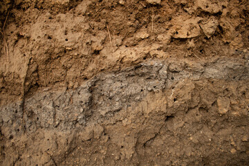Sectional soil, multi-colored soil layers