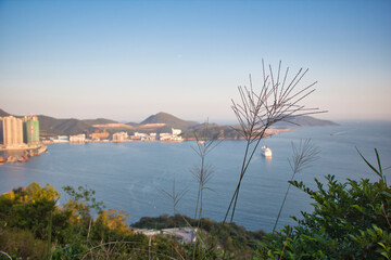 grass against Victoria Harbour, in Devil's Peak, Yau Tong, Hong Kong