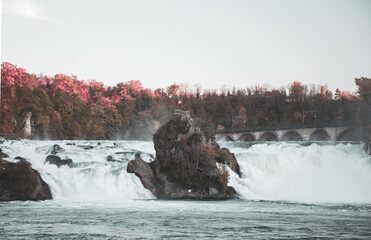 Rhine Falls