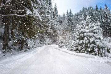 Mountain road through the snowy fir forest, scenic winter landscape with snow, trees and sky during snowfall, outdoor travel background, Carpathian mountains