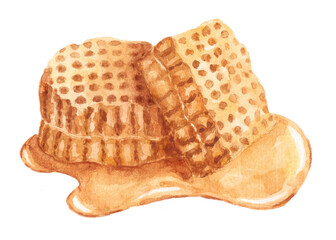 Honeycombs on white background. Watercolor illustration. 