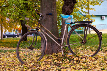 Fototapeta premium Vintage bicycle in beautiful autumn park with colorful fall leaves in traditional village in Serbia