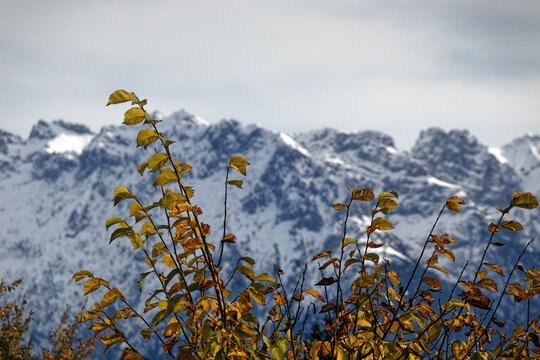 Gipfel des Wetterstein-Massivs vom Eckbauer bei Garmisch-Partenkirchen aus gesehen, Alpen, Bayern, Deutschland