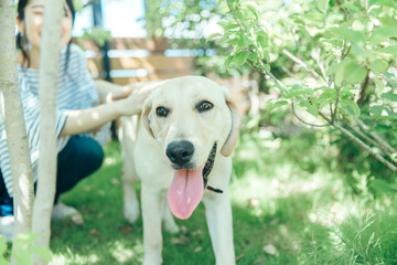 犬と遊ぶ女性
