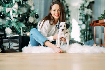 Woman sits near Christmas tree and plays with puppy of dalmatian dog.
