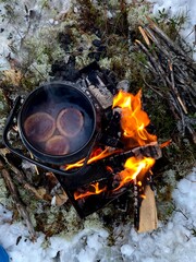 campfire in the forest