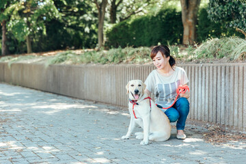 飼い主と散歩する犬
