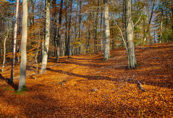 Herbstliche Impressionen
