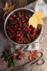 Flatlay with fresh rosehips in kitchen stainless steel calendar  on wooden table with yellow autumn leaves