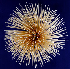 spaghetti arranged in a circle form a beautiful pattern.