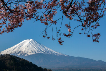 Mount Fuji at Lake Kawaguchiko, Yamanashi prefecture Japan