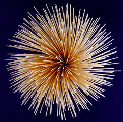 spaghetti spread in a circle on a blue background form a beautiful pattern.