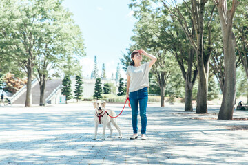 犬の散歩をする女性
