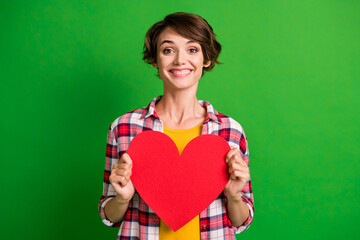 Portrait of charming person arms hold large heart shape wear checkered isolated on green color background