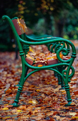 Green bench in park with red leafs 